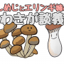 川崎中央クリニック｜しめじ君エリンギ姉のワキガ手術と口コミ